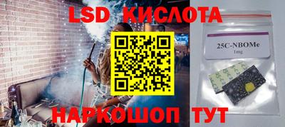прущие грибы Славгород
