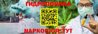 твердый Сланцы