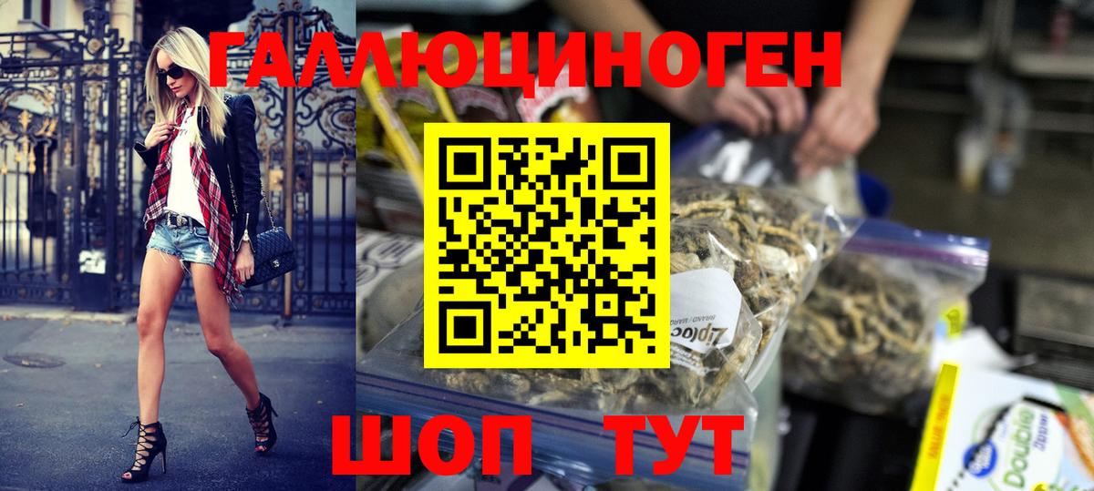 Псилоцибиновые грибы Psilocybe Усть-Илимск