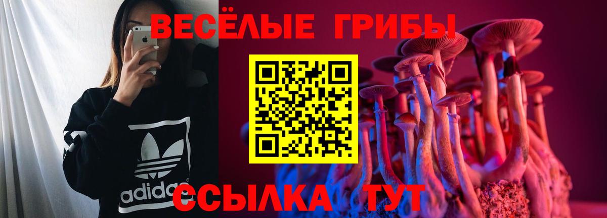 Галлюциногенные грибы Psilocybine cubensis  Псилоцибиновые грибы Cubensis  Усть-Илимск  Вход с VPN 